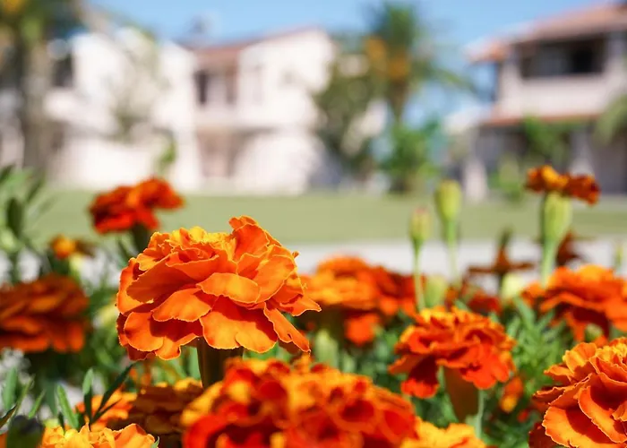 Elizabeth Lägenhetshotell 4*