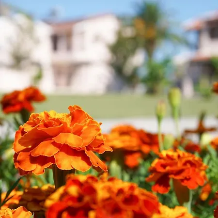 Elizabeth 公寓式酒店 4*