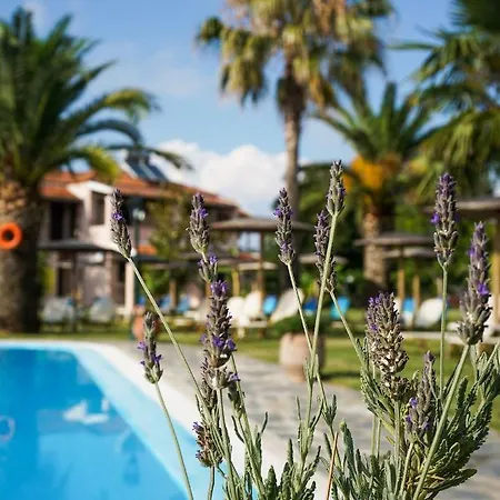 公寓式酒店 Elizabeth